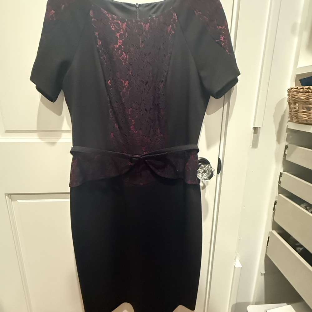 Elegant Black and Red Lace Dress David Meister